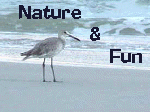 Nature and Fun Do Mix!