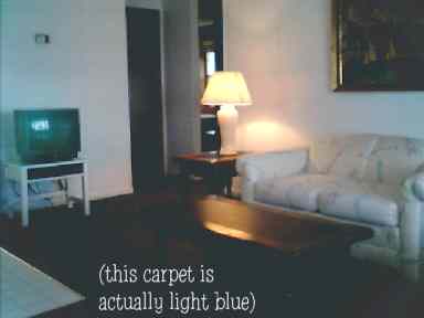 The Living Room