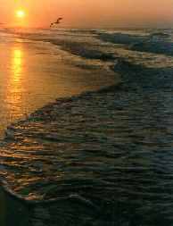 The ocean