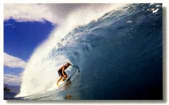 surf's up dude!